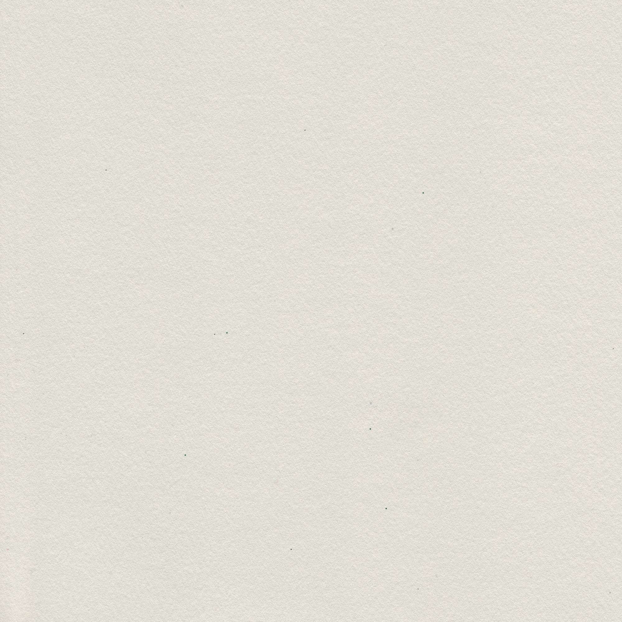 Elephant Natural Photo of Elephant Natural paper