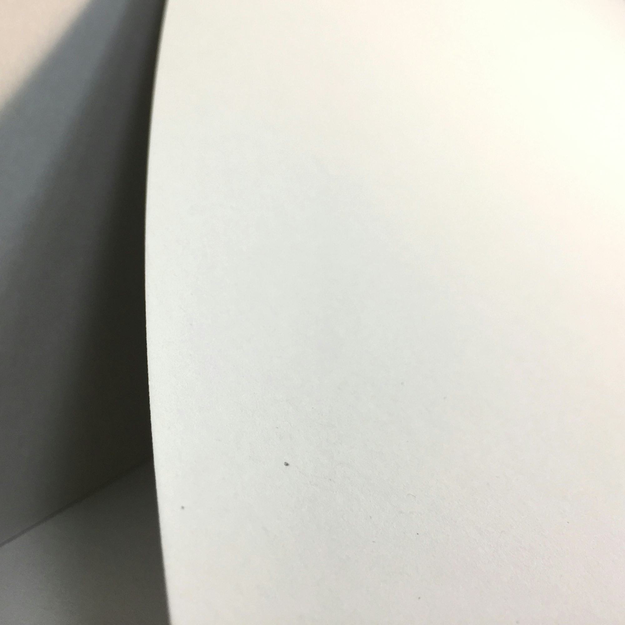 Elephant Natural Photo of Elephant Natural paper