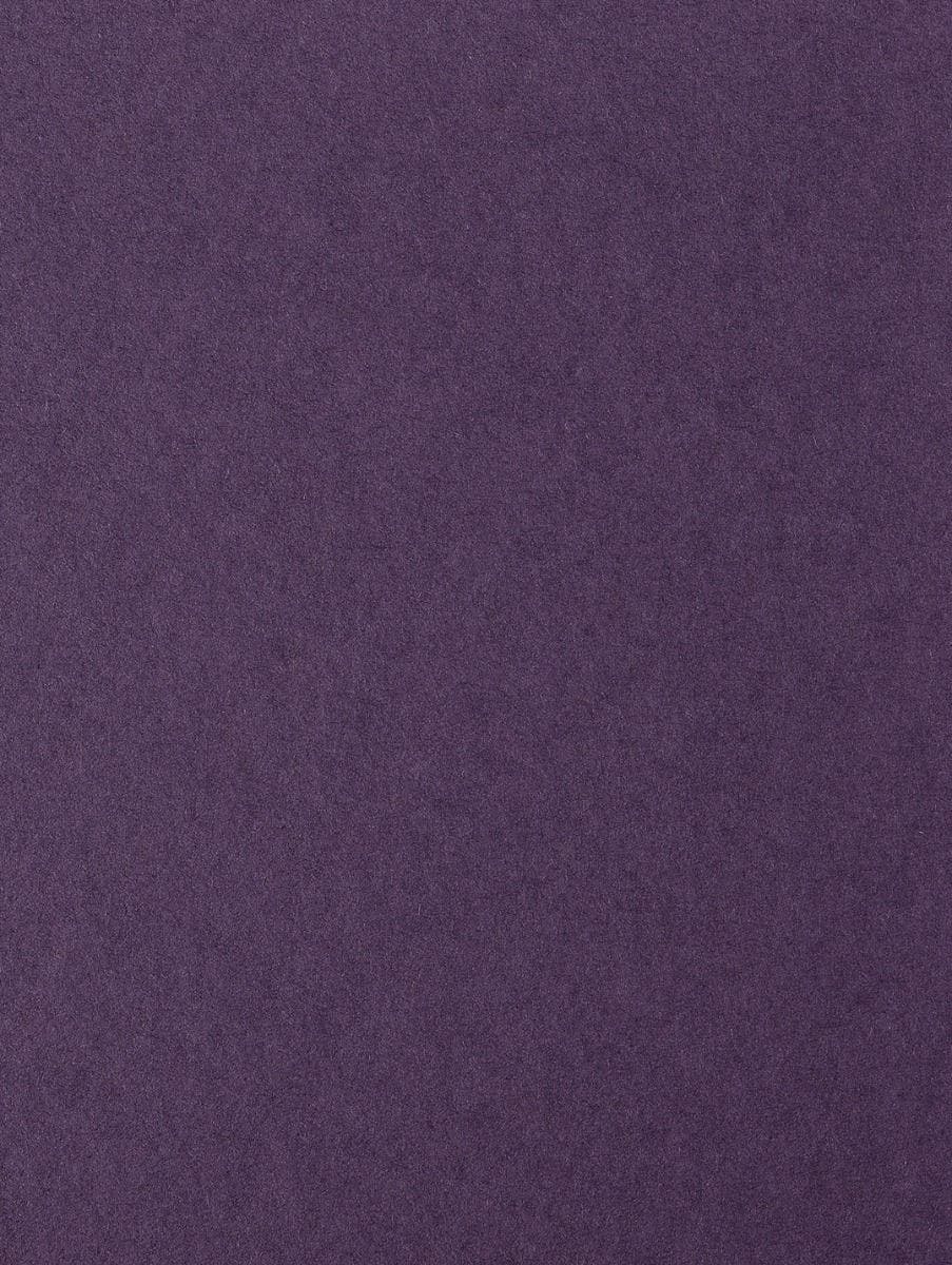 Colorplan Amethyst