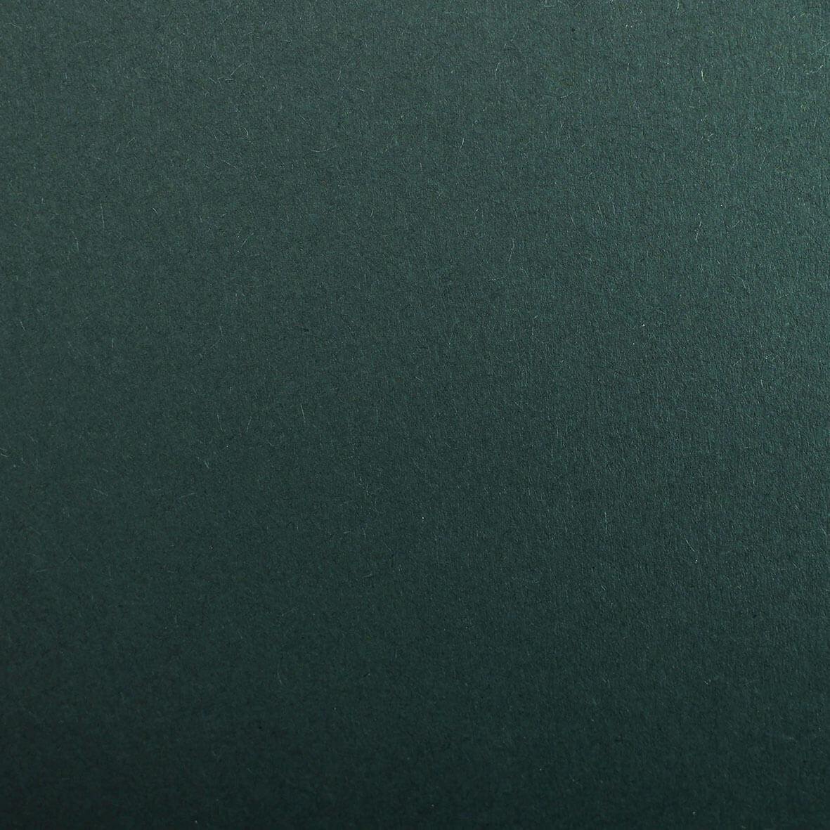 Colorplan Racing Green